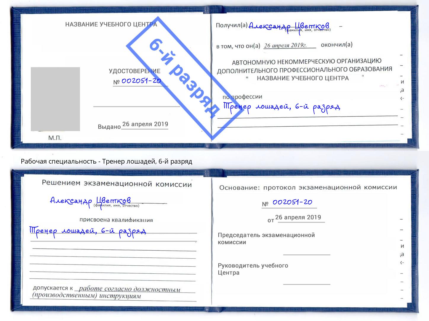 корочка 6-й разряд Тренер лошадей Ставрополь
