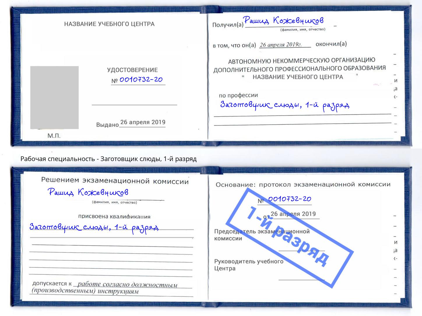 корочка 1-й разряд Заготовщик слюды Ставрополь